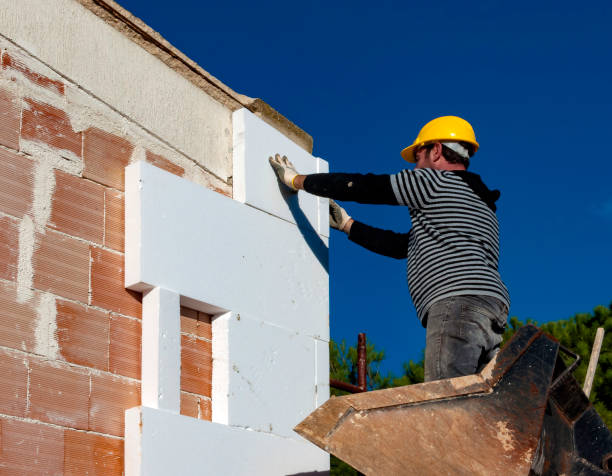 Best Geographic-Specific Insulation Services in Berryville, AR