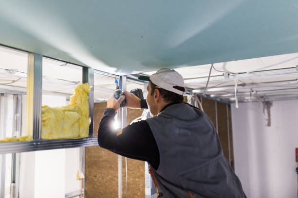 Best Eco-Friendly Insulation in Berryville, AR