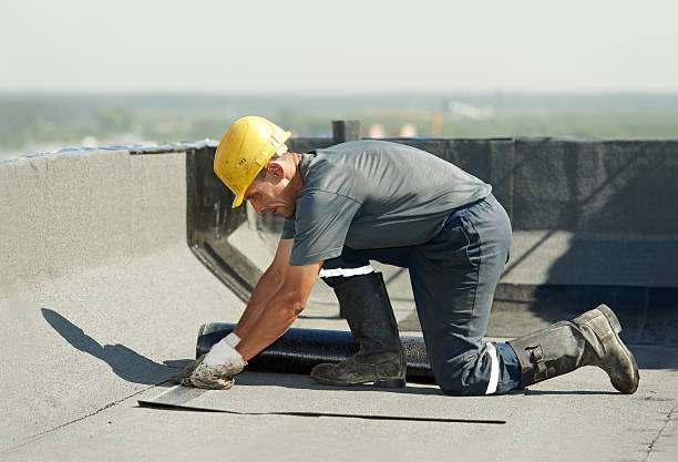 Best Specialized Insulation Services in Berryville, AR