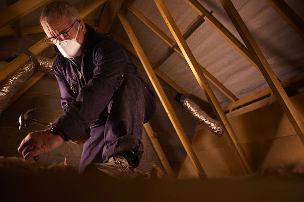 Best Commercial Insulation in Berryville, AR